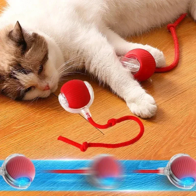 Interactive Toy Cats-1