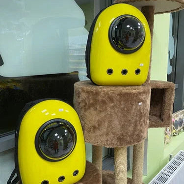 Cats and Dogs backpack