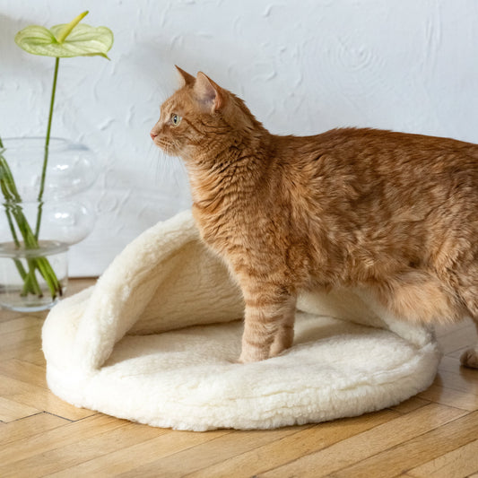 Natural Wool Pet Cave - White