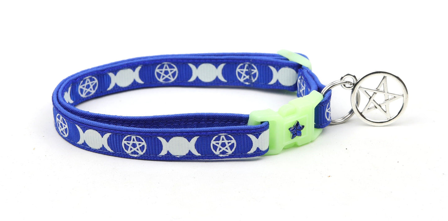Witch's Familiar on Royal Blue Cat Collar-4