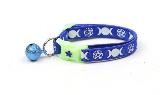 Witch's Familiar on Royal Blue Cat Collar-0