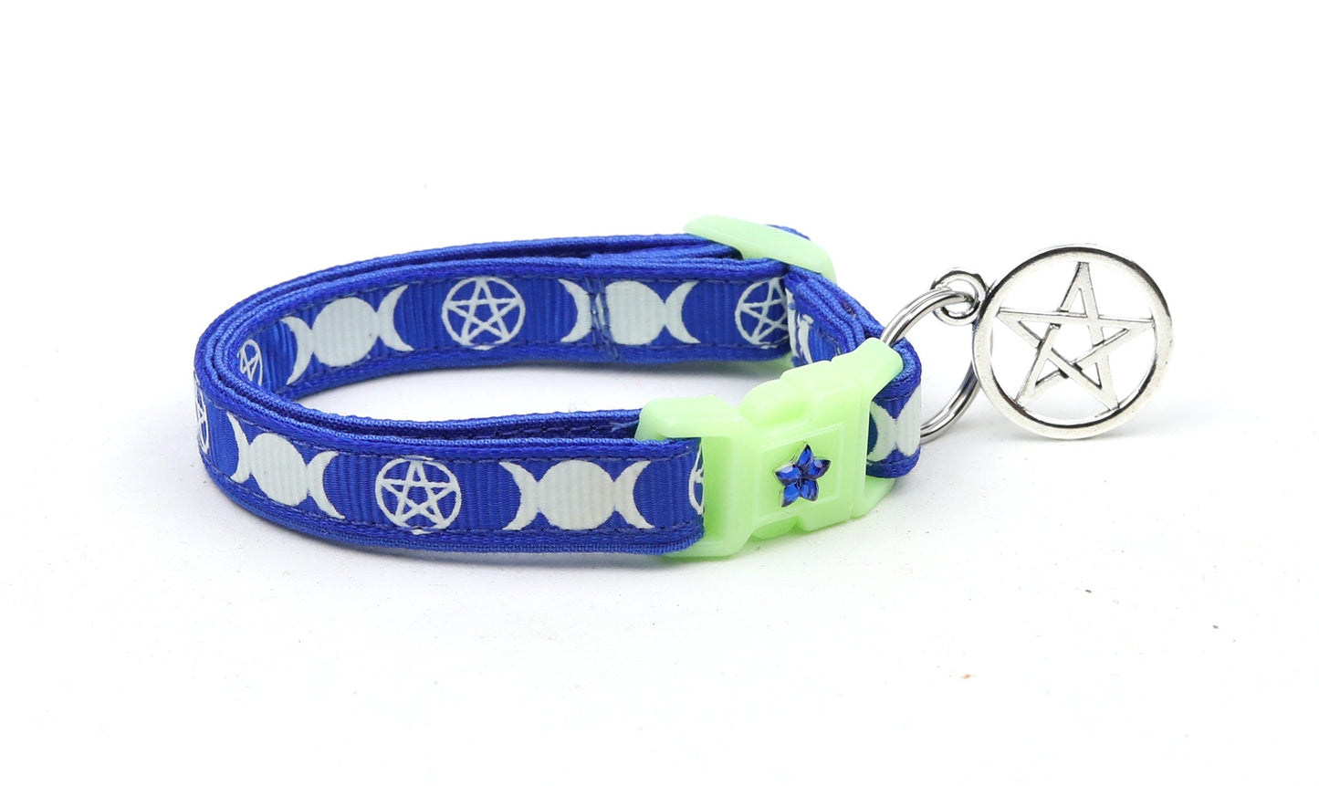 Witch's Familiar on Royal Blue Cat Collar-1
