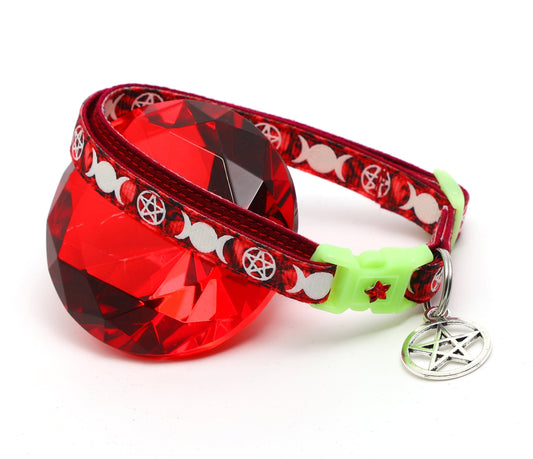 Witch's Familiar on Ruby Cat Collar-0
